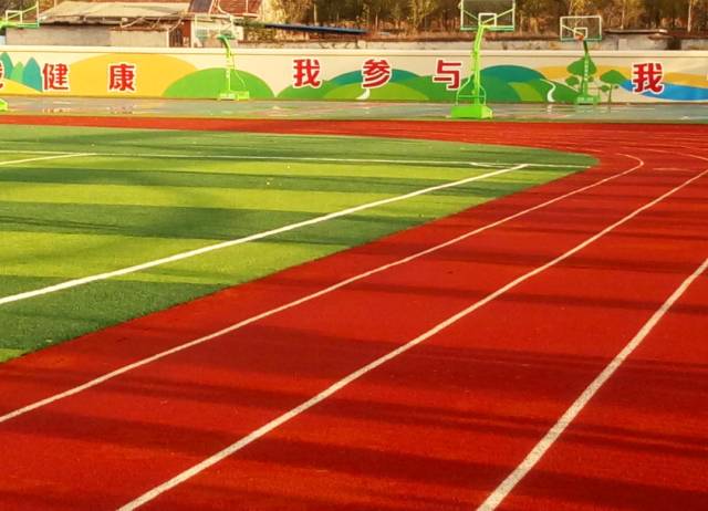 案例分析 案例分析