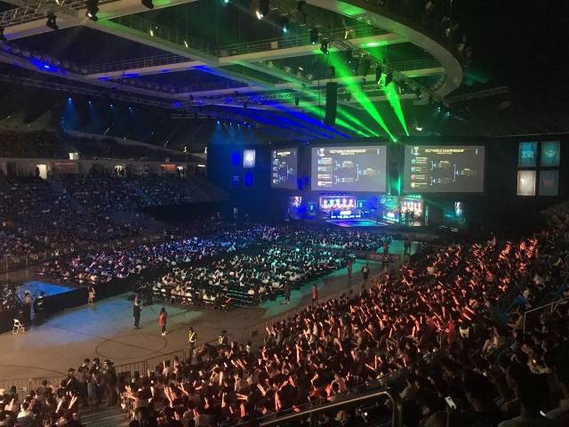 鲜感与朝气 鲜感与朝气